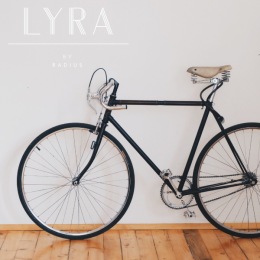 Oh, the places you'll go (on two wheels). ๐ฒ
When you're done exploring the city, your bike will have a special place at our indoor storage area equipped with repair stations. 
View more community amenities at the link in our bio. Instagram post from @lyrabyradius on November 30, 2023 14:28:28pm